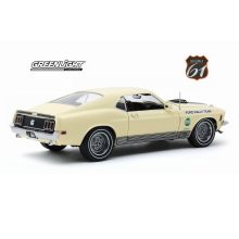 Ford Mustang Mach 1 - Competition Limited Team