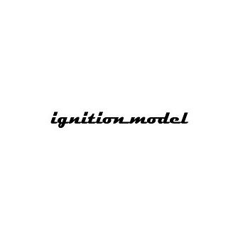 Ignition model