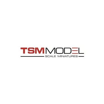 TSM Model